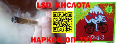 прущие крисы Кингисепп