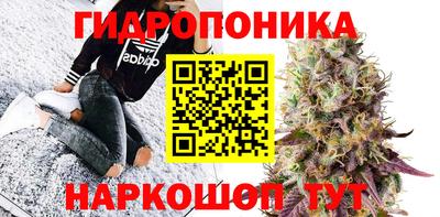 МДПВ Кимры