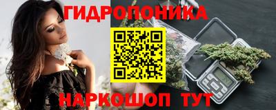 прущие крисы Кингисепп