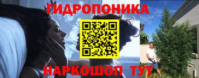 прущие крисы Кингисепп