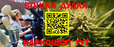 прущие крисы Кингисепп