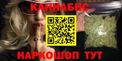 прущие крисы Кингисепп
