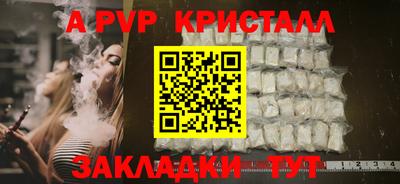 прущие крисы Кингисепп
